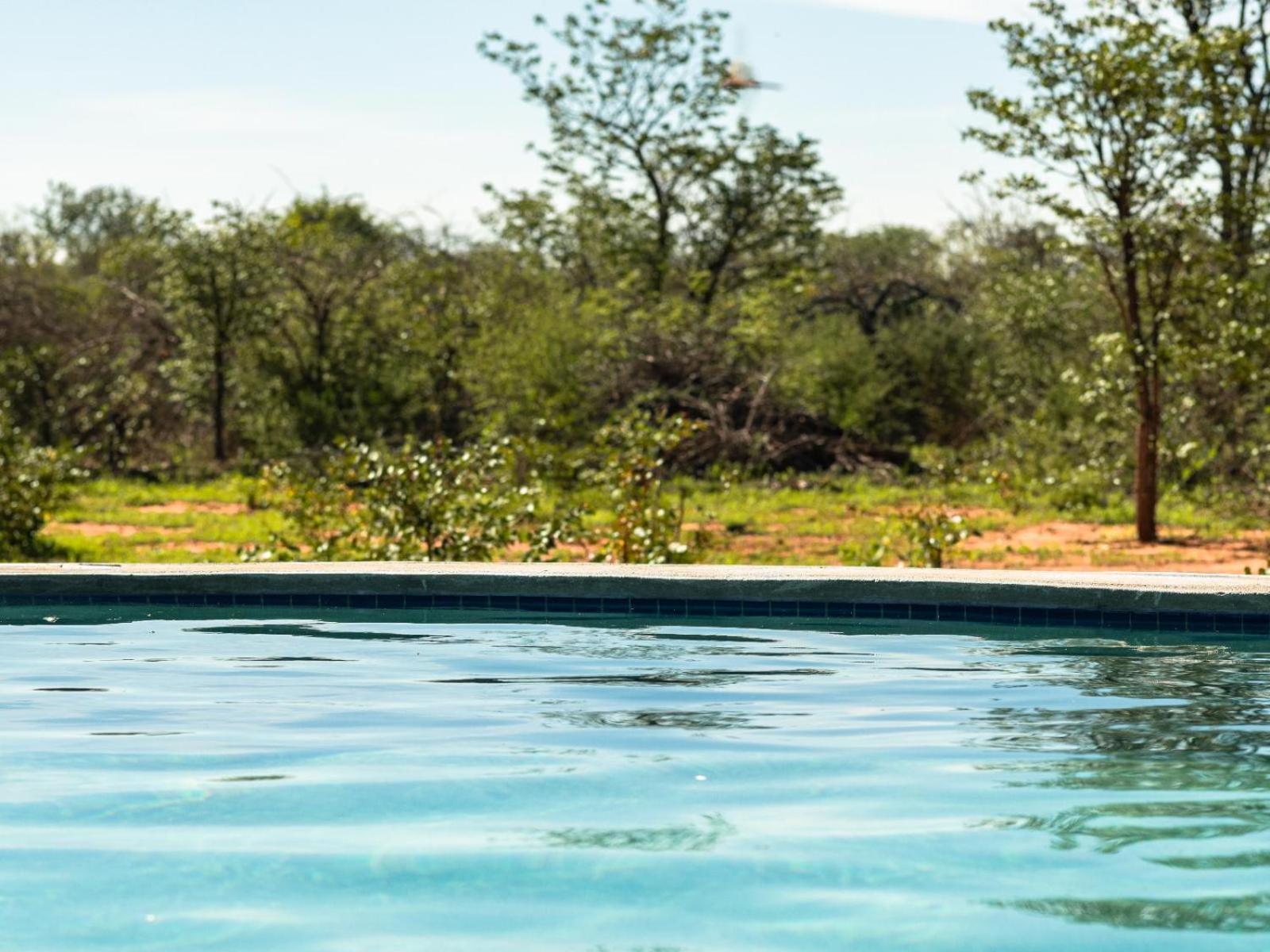 Hotel Kifaru Bush Camp Outjo Zewnętrze zdjęcie