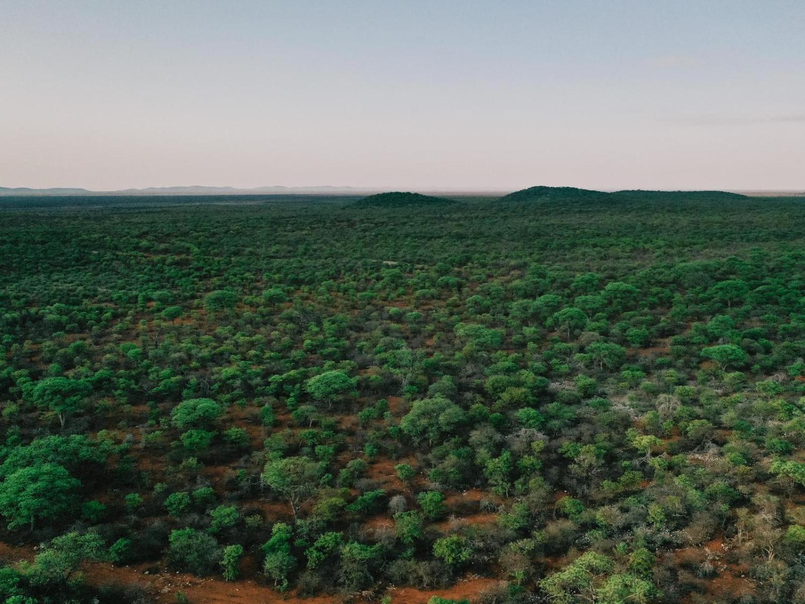 Hotel Kifaru Bush Camp Outjo Zewnętrze zdjęcie