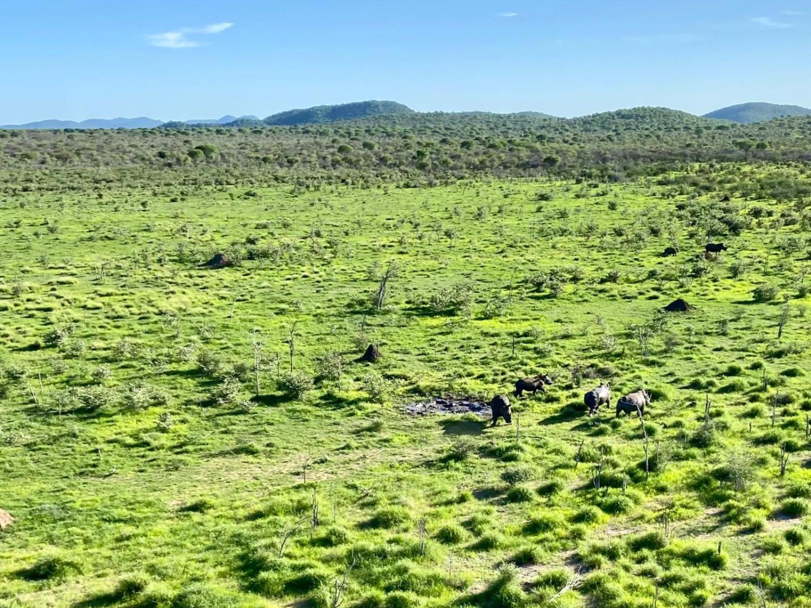 Hotel Kifaru Bush Camp Outjo Zewnętrze zdjęcie